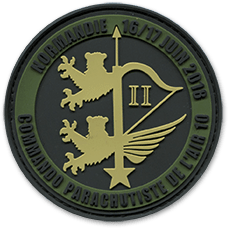 Ecusson PVC rond de l'armée de l'air. Sur un fond vert foncé, deux griddons vert clair sont représentés derrière un arc. Autour, le tetxe Normandie 16/17 juin 2018, commando parachutiste de l'air est écrit en vert foncé sur un bandeau vert.